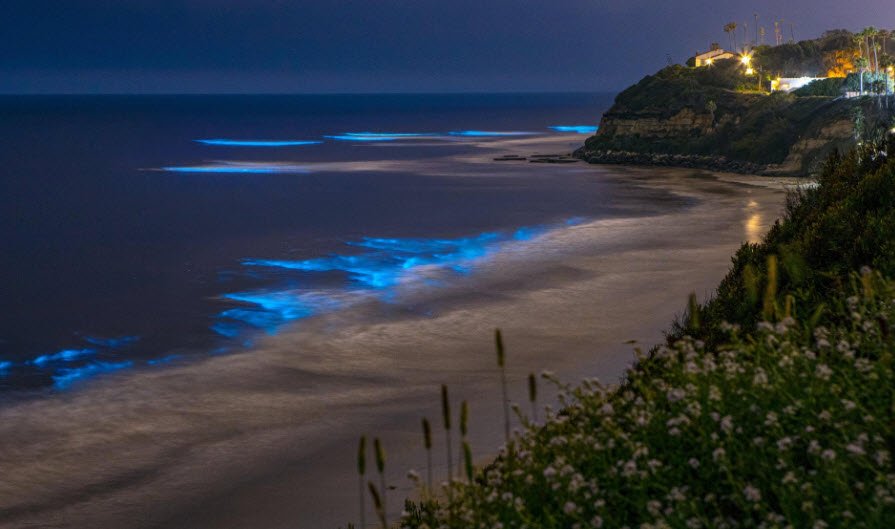 Betalbatim Beach, South Goa, India